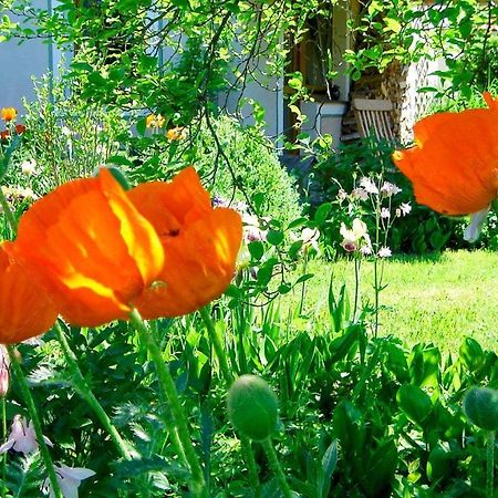 Janischs Fewo Im Spreewald, Terrasse, Grosser Garten Und Blick Inklusive Unterspreewald Экстерьер фото
