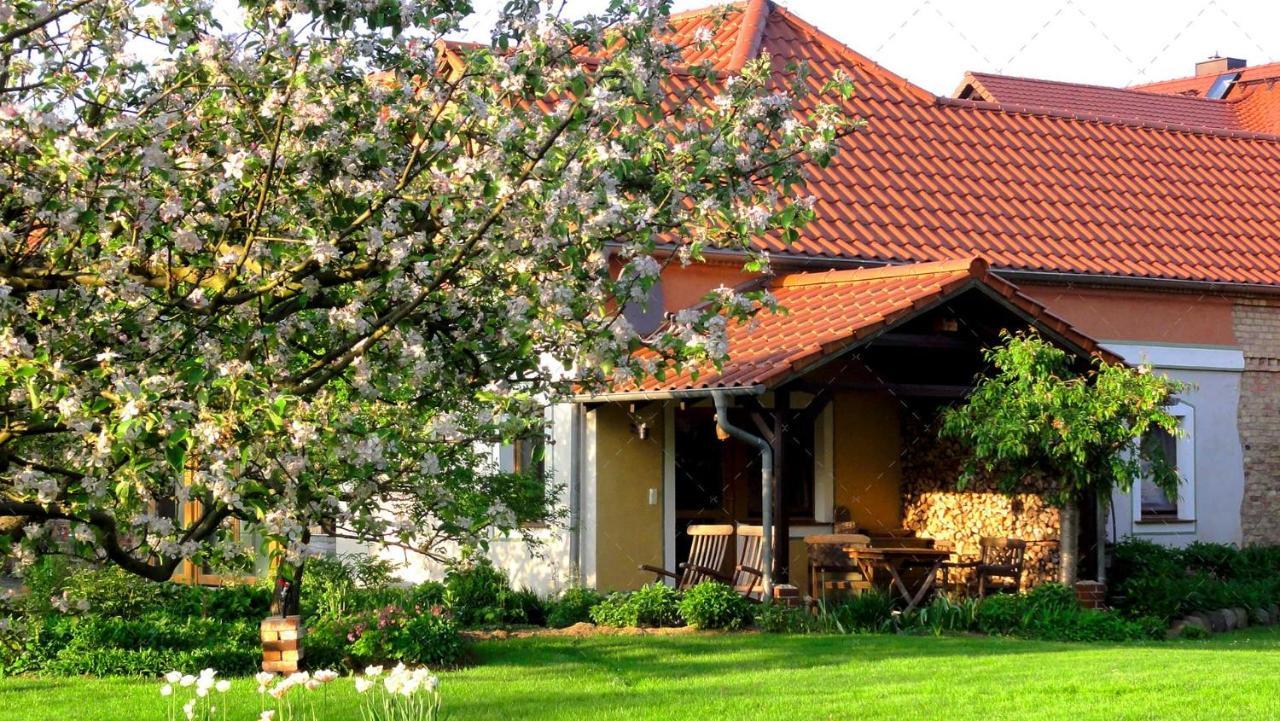 Janischs Fewo Im Spreewald, Terrasse, Grosser Garten Und Blick Inklusive Unterspreewald Экстерьер фото