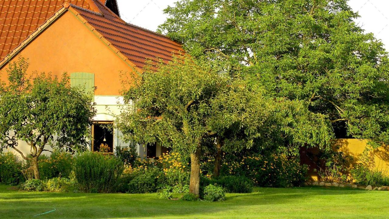 Janischs Fewo Im Spreewald, Terrasse, Grosser Garten Und Blick Inklusive Unterspreewald Экстерьер фото