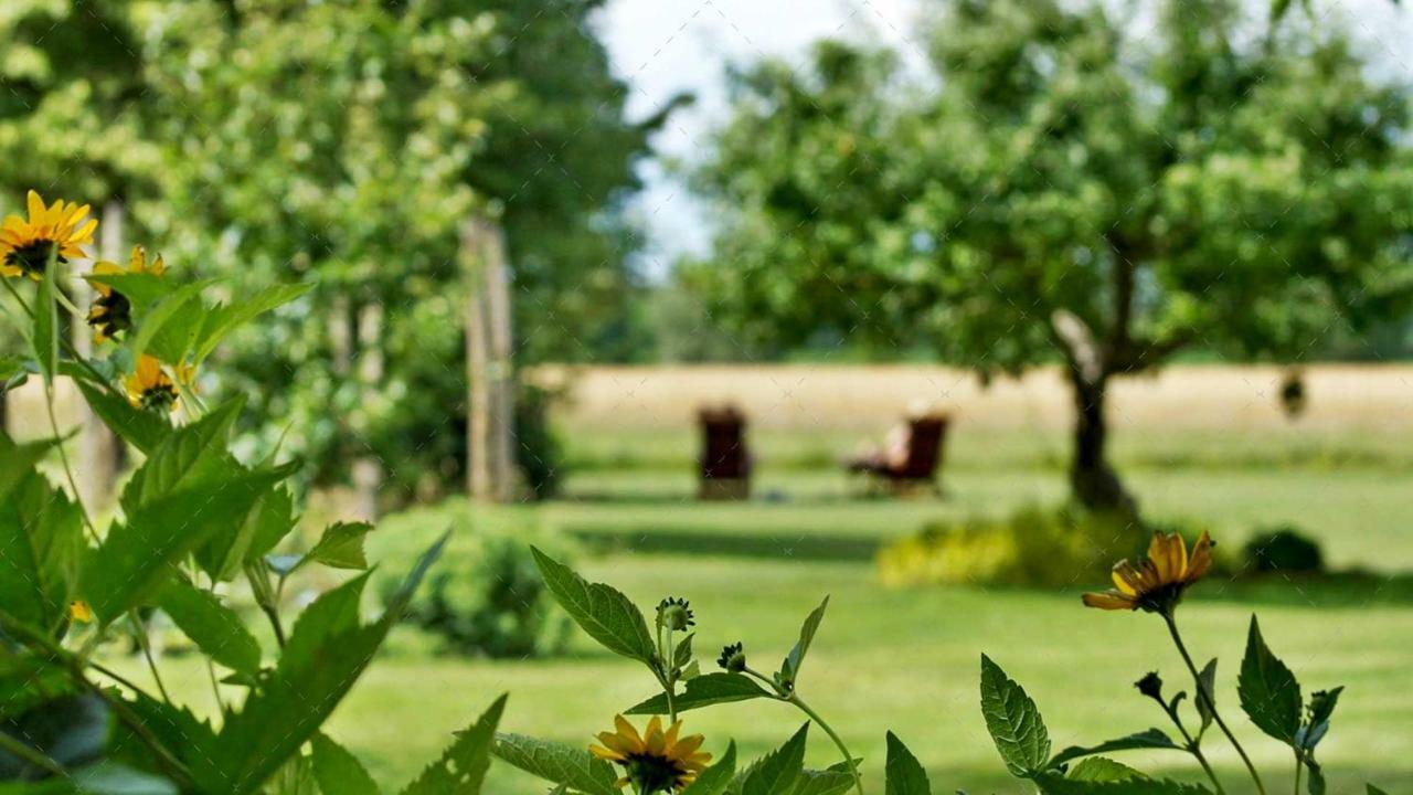 Janischs Fewo Im Spreewald, Terrasse, Grosser Garten Und Blick Inklusive Unterspreewald Экстерьер фото