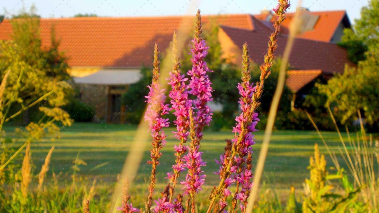 Janischs Fewo Im Spreewald, Terrasse, Grosser Garten Und Blick Inklusive Unterspreewald Экстерьер фото